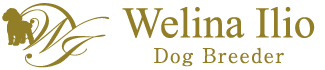 Welina Ilioロゴ